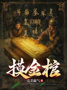 南北派盗墓贼 南北派盗墓贼