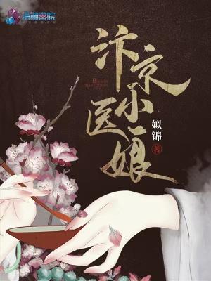 汴京小医娘 汴京小医娘